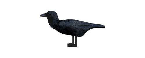     6. Nra Fud Crows () CR 